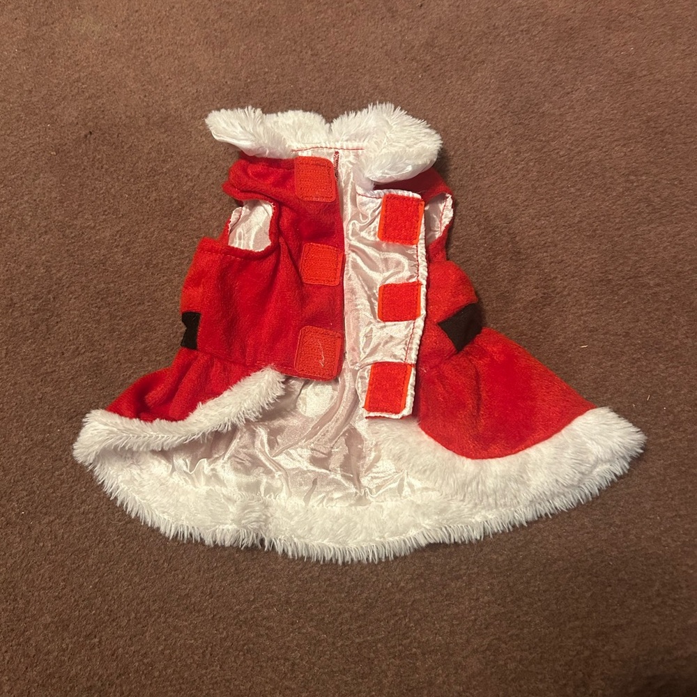 Red Santa Dog Dress with White Trim - Picture 6 of 15